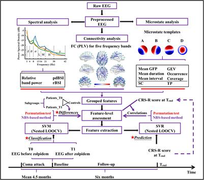 EEG Evidence Reveals Zolpidem-Related Alterations and Prognostic Value in Disorders of Consciousness